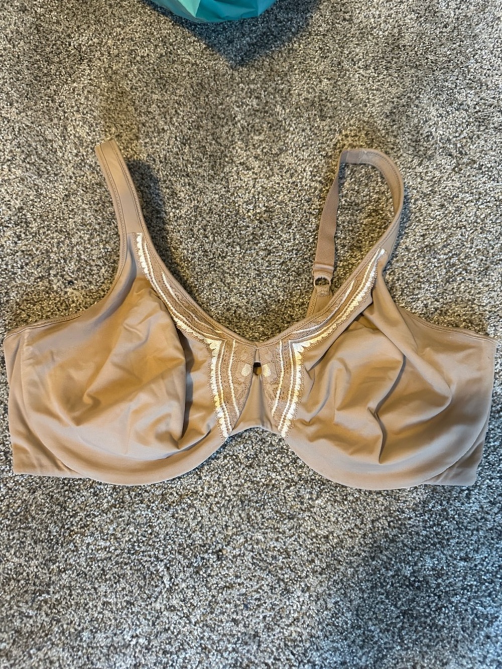 Olga Beige Full Coverage Underwire Bra with Embroidered Trim 42DD